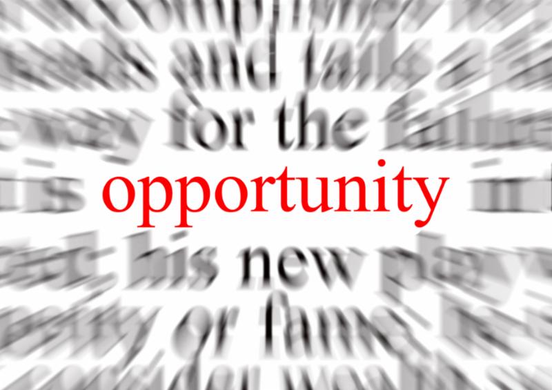 opportunity-words-naia-inc